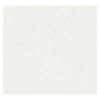 Cristiana Masi Grey Plain Wallpaper -Grey