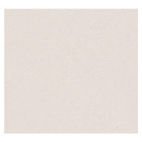 Cristiana Masi Beige Plain Wallpaper -Beige