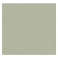 Cristiana Masi Green Plain Wallpaper -Green  