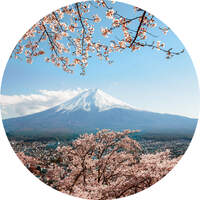 ANAGLYTPA COLOMBO - MOUNT FUJI IN JAPAN WALL MURAL 144CM X 144CM