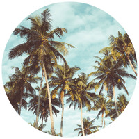 Anaglytpa Palm Trees Wall Mural 144cm x 144cm