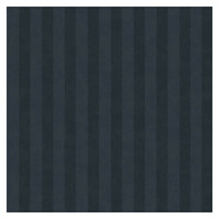 AQUILA NAVY