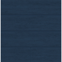 COASTAL BLUE SHIPLAP