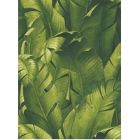 TROPICAL BANANA LEAVES