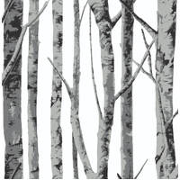 BIRCH TREES