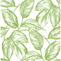 Sketched Leaves