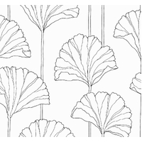 Ginkgo Leaf